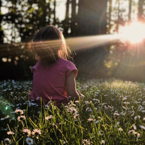 young girl sitting in field of flowers meditating while the sun sets
